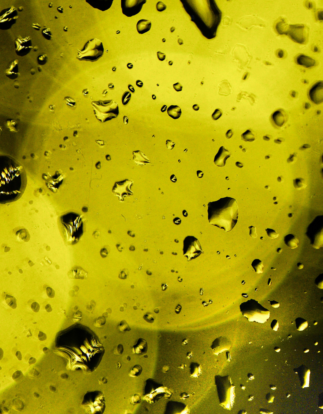 Best Natural Moisturiser for Sensitive Skin